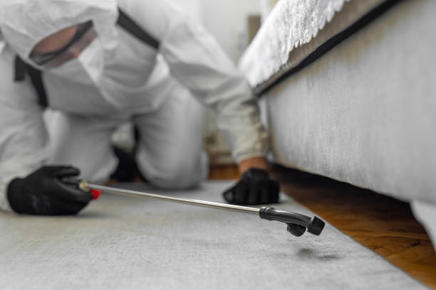 Professional Termite Control technician working in West Canton, NC