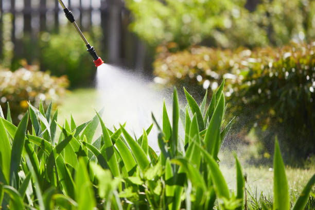 24/7 Emergency Termite Control experts in West Canton, NC