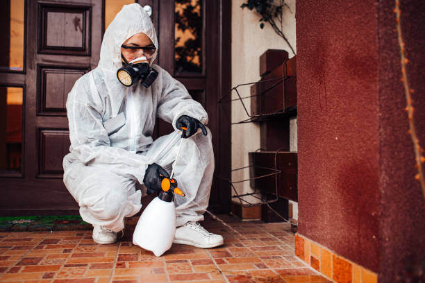 Reliable Termite Control contractor in West Canton, NC by Nex Pest Control
