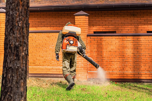 Top rated local Termite Control specialists in West Canton, NC